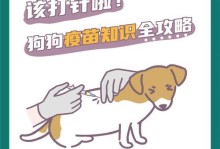 狗皮下注射的注意事项（保证狗狗健康的重要指南）