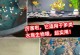 金鱼消毒需要多长时间？（使用盐进行金鱼消毒的注意事项和步骤）