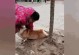 小狗刨土的征兆及解读（探寻小狗刨土背后的语言与行为）