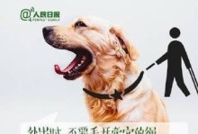 狗证的作用及可办理狗证的33种犬种（外出遛狗时的牵绳要求）