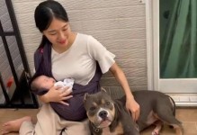 孕妇为什么不能养狗狗？（探究孕妇养狗可能存在的健康风险）
