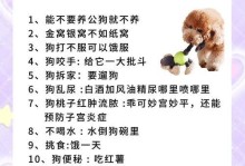饲养宠物犬的有效方法（提升宠物犬生活质量的关键技巧）