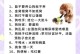 饲养宠物犬的有效方法（提升宠物犬生活质量的关键技巧）