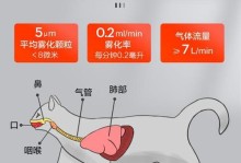 宠物雾化的最佳时长及注意事项（为你的宠物提供健康的雾化疗法）