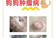 小狗生病了，该如何喂养？（小狗病刚好喂什么好，保证它恢复健康）