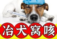 治疗狗狗咳嗽的药物选择与用法（选择合适的药物是关键，为你的狗狗提供舒适的治疗体验）