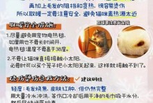 猫咪毛色变黄（探寻毛色变黄背后的健康问题及其防治关键）
