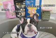 十天了小狗能吃什么？（为新生小狗提供适宜的食物，）