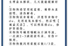 如何应对狗狗感冒？（狗狗感冒的症状、治疗和预防措施）