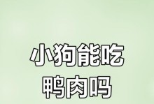 小狗多久可以吃干粮？（合适的时间点与注意事项）