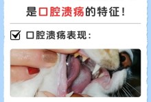 猫口腔溃疡的原因及预防方法（了解猫口腔溃疡的常见原因，提供有效的预防措施）