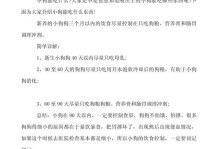 未满1岁的狗狗应该吃什么？（为您的小狗提供健康饮食的关键）