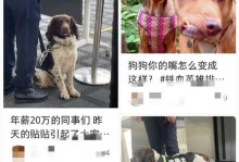狗狗头部发育异常，症状及治疗方法（了解狗狗头部发育异常的常见症状和应对方法）