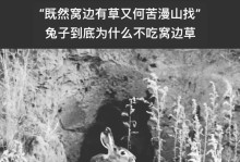 兔子的饮食规律与健康（揭秘兔子能够多久不吃东西的秘密）