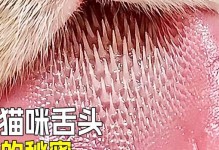 猫的舌头特点揭秘（探索猫舌头的奇妙之处）