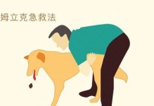 狗的安全（揭示狗在何处面临生命危险及如何保护它们）