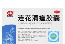 治疗犬瘟鼻塞，选择合适的药物是关键（详解犬瘟鼻塞治疗药物，助你宠物早日康复）