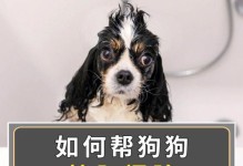 狗狗肛门腺肿——犬版痔疮的症状与治疗（了解肛门腺是什么以及如何处理狗狗肛门腺肿）