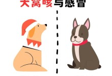 小狗狗为什么一直想咳？（探究小狗狗长期咳嗽的原因与处理方法）