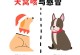 小狗狗为什么一直想咳？（探究小狗狗长期咳嗽的原因与处理方法）