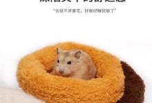 仓鼠过冬的最佳方式（仓鼠过冬的科学饲养技巧与注意事项）
