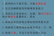 狗狗呕吐的原因与处理方法（不要慌，分享6种情况与处理）