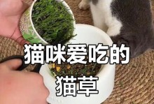 猫为什么会吃草？（探究猫草对猫咪身体的帮助）