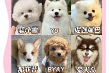 狗狗配种后多久能洗澡？（洗澡的最佳时间和注意事项）