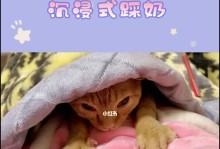 小猫为何会踩奶？（揭秘小猫踩奶的原因与意义）