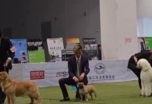注册犬舍（以cku注册犬舍所需时间及步骤概览）