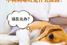 小狗脚抽筋的原因及预防措施（小狗脚抽筋的症状和治疗方法）