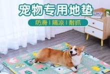 夏季猫咪护理（为你的猫咪准备一个舒适的夏季休息场所吧！）