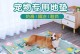 夏季猫咪护理（为你的猫咪准备一个舒适的夏季休息场所吧！）