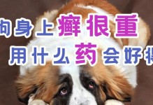狗狗身上味道重的原因解析（深入探究狗狗身上味道重的根源及解决方案）