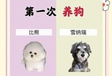 养狗必看的13条常识（新手必须掌握的养狗知识，让你成为贴心的狗主人）