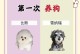 养狗必看的13条常识（新手必须掌握的养狗知识，让你成为贴心的狗主人）
