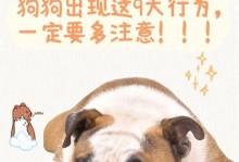 网络购买狗的注意事项（以网络买狗的前提和购买流程）