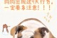 网络购买狗的注意事项（以网络买狗的前提和购买流程）