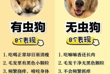 狗狗食用驱虫药后的反应与处理方法（狗狗食用驱虫药后常见的反应及应对措施）