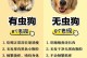 狗狗食用驱虫药后的反应与处理方法（狗狗食用驱虫药后常见的反应及应对措施）