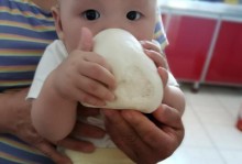 两个月大的狗狗可以吃馒头吗？（宠物饮食需注意的事项、狗狗饮食健康的关键）