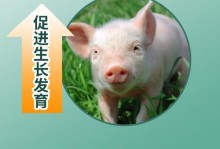给鸟儿补充维生素的重要性（为你的宠物鸟提供全面均衡的维生素营养）