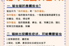 猫体内外驱虫频率的正确选择（科学养猫，保护健康）