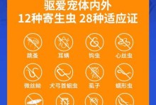 如何正确喂食小狗打虫药（合理安排时间间隔和药量，保护小狗健康）