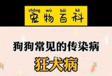 如何辨别宠物是否患狂犬病？（掌握狂犬病早期症状，预防宠物感染）