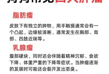 小狗肿瘤的症状及预防措施（了解小狗肿瘤的常见症状与防范方法，守护爱宠健康）