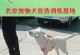 如何有效训练泰迪（培养泰迪的好习惯，提高训练效果）