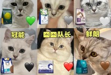 奶猫何时可过渡至主食猫粮？（关于奶猫饮食过渡的注意事项和时间安排）