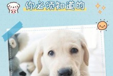 25天拉布拉多幼犬的喂养指南（宠物饲养必备）