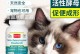 泰迪幼犬的益生菌需求（选择合适的益生菌产品保护泰迪宝宝的肠道健康）